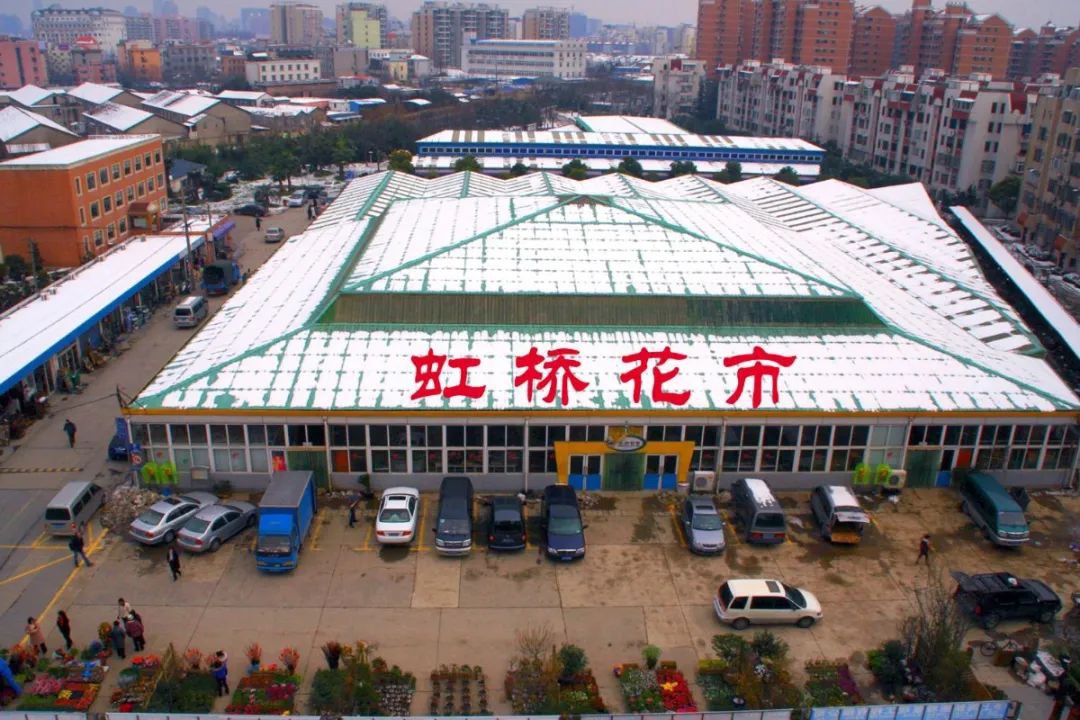 上海各大花市信息汇总 (地点+营业时间)