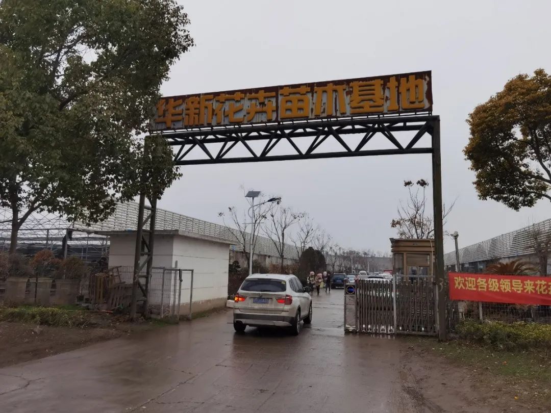 上海各大花市信息汇总 (地点+营业时间)