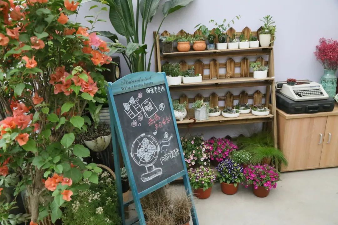 上海各大花市信息汇总 (地点+营业时间)