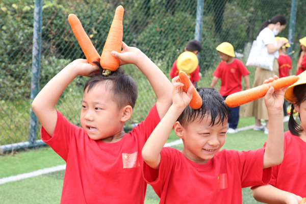 合肥一所幼儿园田园农耕趣味举动会秋收乐翻天