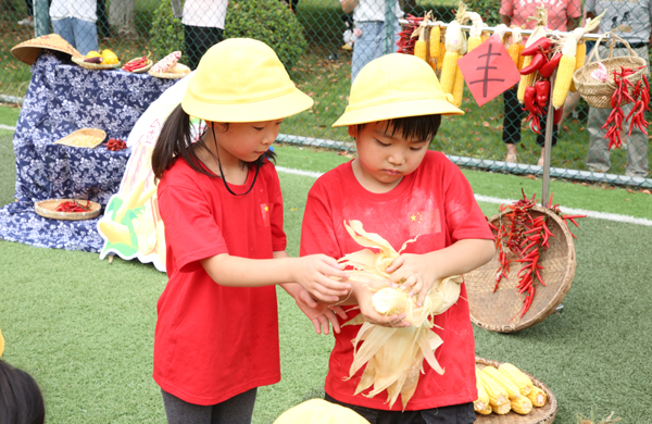 合肥一所幼儿园田园农耕趣味举动会秋收乐翻天