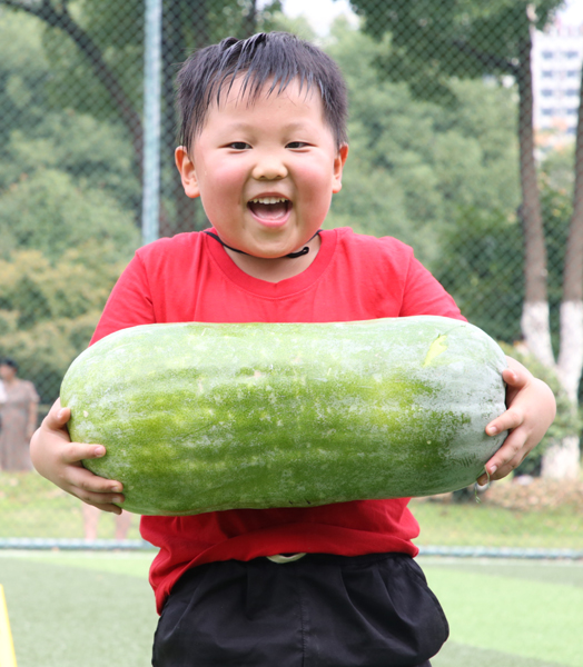 合肥一所幼儿园田园农耕趣味举动会秋收乐翻天