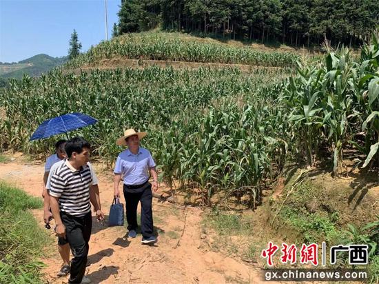 巴马县立德村驻村工作队扎实推进乡村振兴工作