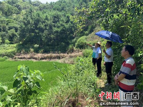 巴马县立德村驻村工作队扎实推进乡村振兴工作