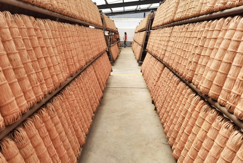 组图丨遇见茶乡 镜头里的安化