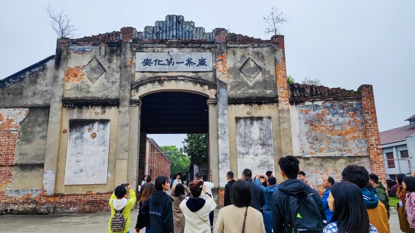 组图丨遇见茶乡 镜头里的安化