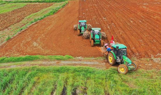 南宁糖业迎“开门红” 一季度利润同比增长118%