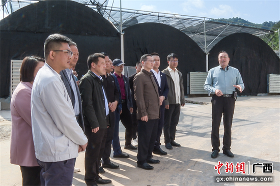 广东茂名市茂南区委统战部率大湾区企业到金秀开展粤桂协作对接工作