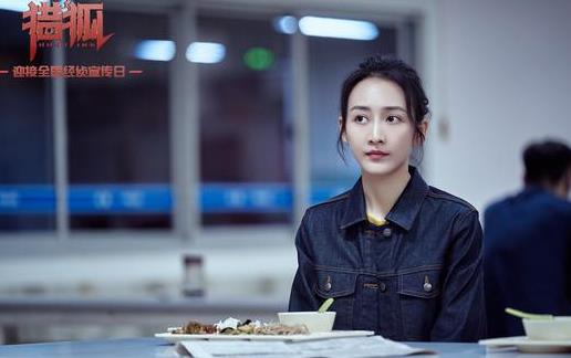 电视剧《猎狐》热播 王凯胡军深陷情与法困境