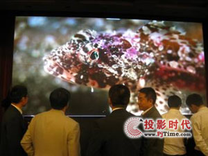 专业领航 共赢未来 威创2010年创新体验之旅