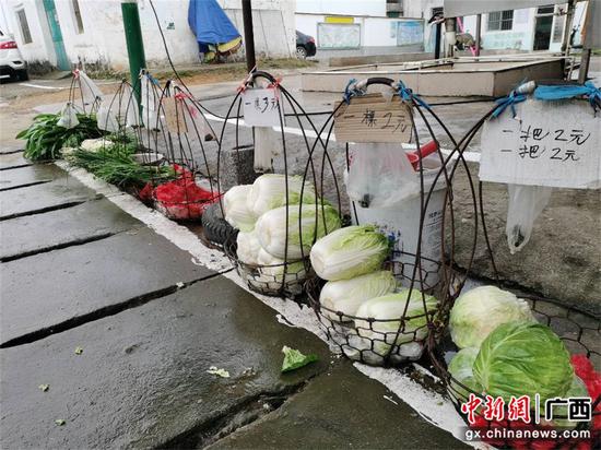 南宁武鸣区：“一把菜”绽放“文明花”