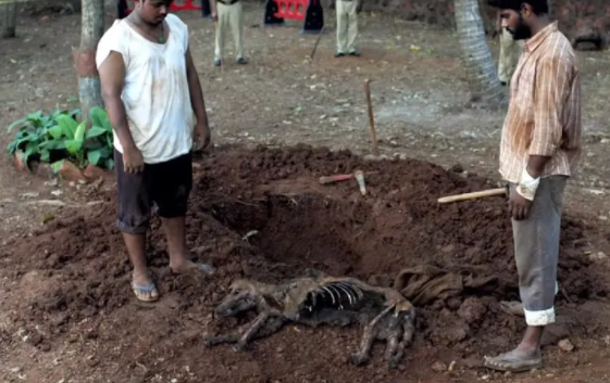 《误杀》原版《误杀瞒天记》内地定档，4月15日上映