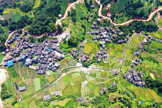 基层支部选优配强 “她力量”赋能乡村振兴