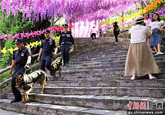 4月30日,新路派出所和警犬大队在景区巡逻值守。甘勇 摄 贺州平桂民警“五一”假期带犬巡逻护平安
