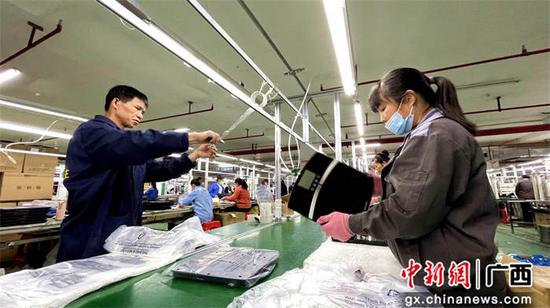 广西忻城和广东三市“组团式”帮扶结硕果