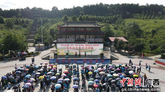 广西忻城和广东三市“组团式”帮扶结硕果