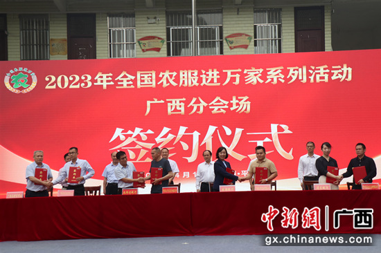  广西百色：当服务先锋 护粮食安全