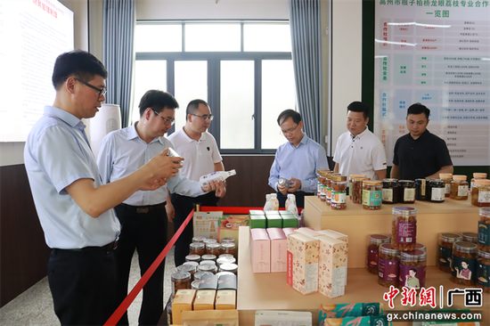 考察组一行到高州市根子镇柏桥村农创园荔枝产业链考察党委工作情况及合作社建设运行情况。颜莉莉 摄 欧树和率队到广东茂名市茂南区、电白区对接粤桂协作工作