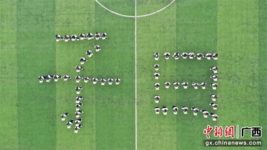 横州市民族中学开展“相约《论语》 文化中国”诵读活动