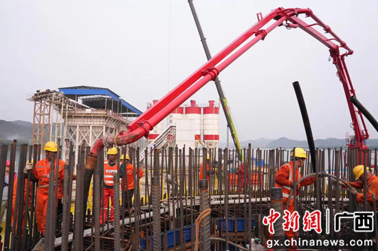 苍梧至容县高速公路苍容浔江大桥中塔首节塔柱顺利浇筑
