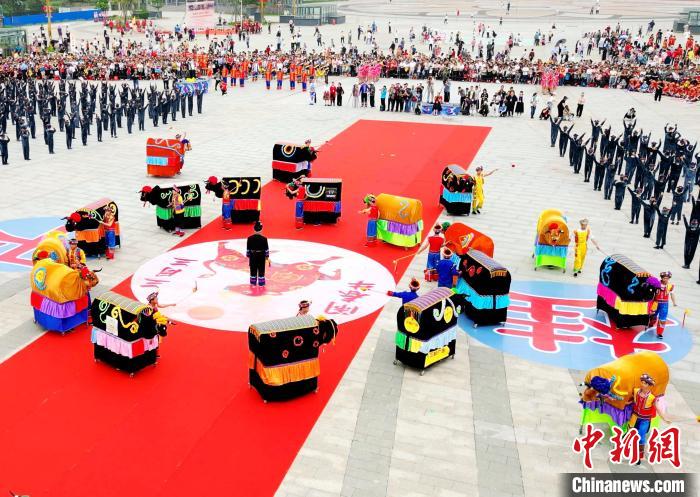 庆祝“三月三” 广西桂平上演“闹春牛”