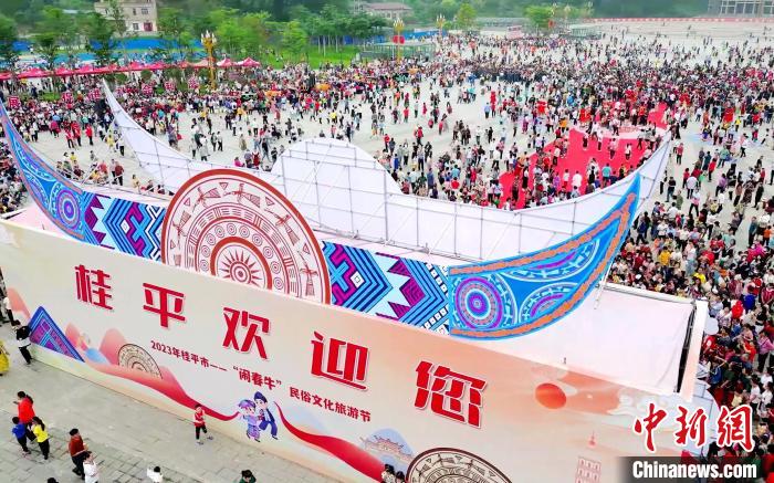庆祝“三月三” 广西桂平上演“闹春牛”