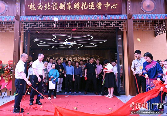 广西环江：毛南山乡多彩活动乐嗨“三月三”