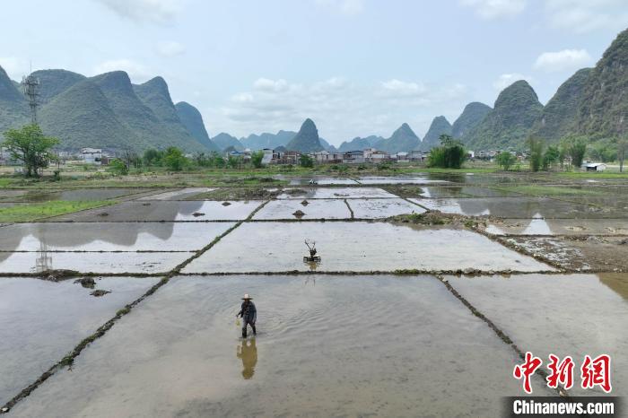 谷雨至 广西乡村农事忙