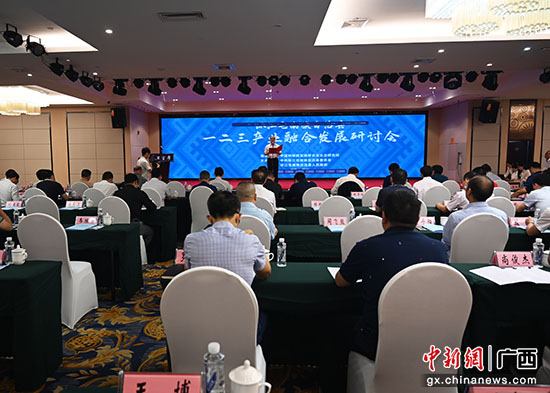 院士专家为广西毛南山乡一二三产业融合发展“把脉支招”