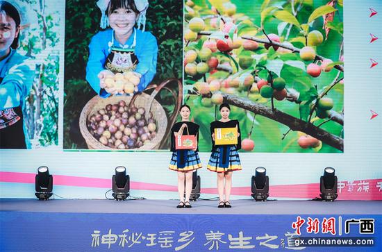 “南丹味道”及八大地标品牌产品在南宁亮相