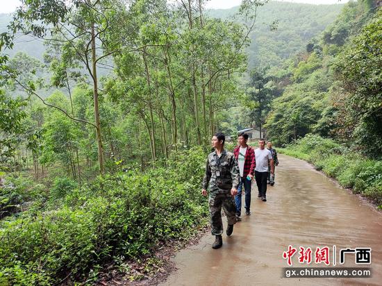 横州市各级人大代表共筑森林“防火墙”