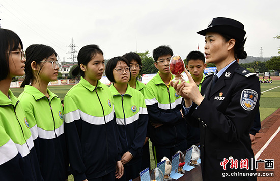 兴业县：“沉浸体验式”国家安全教育进校园