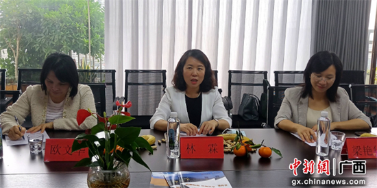 崇左谋求加强国门边关城市宣传 推动国际品牌建设