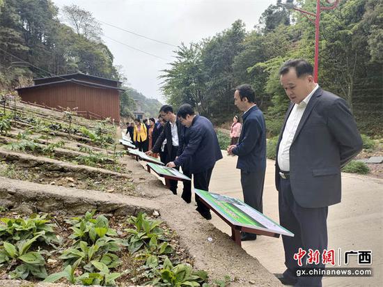 广东茂名市工商联考察组到广西金秀开展粤桂协作考察交流