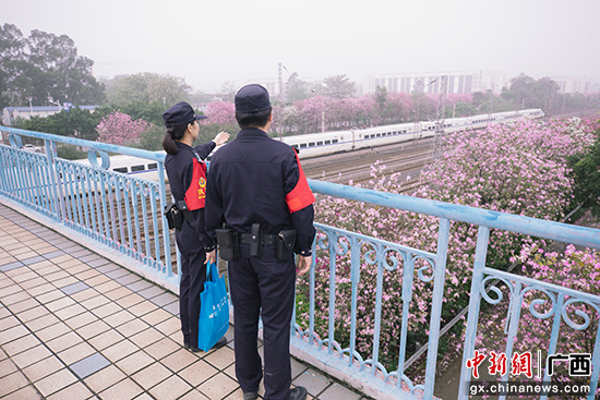 广西柳州：紫荆花下守护开往春天的列车