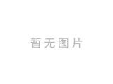 OPPO R11再曝:采用旗舰级影像处理器