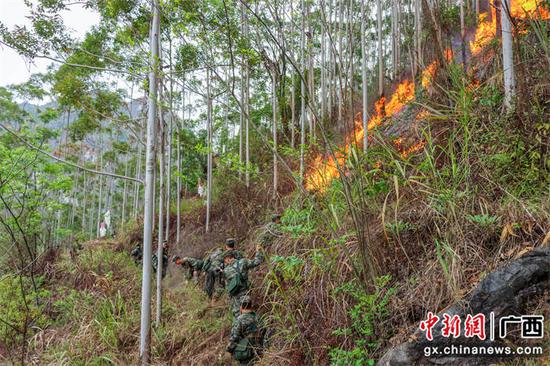 广西河池突发山火 武警官兵紧急驰援
