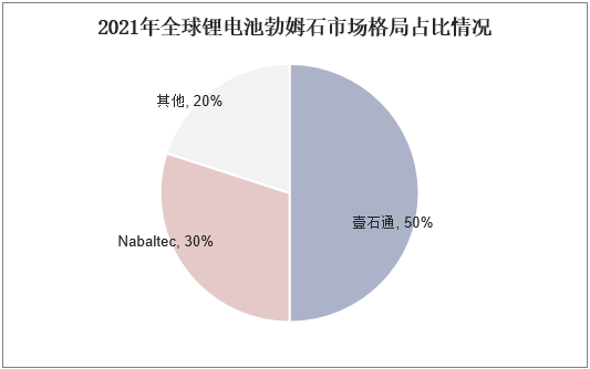 2021年全球锂电池勃姆石市场格局占比情况