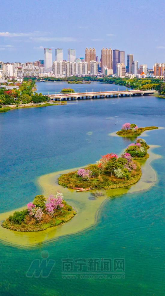 今年第一季度成为全国省会城市“水质冠军”！南宁市生态环境建设成绩亮眼