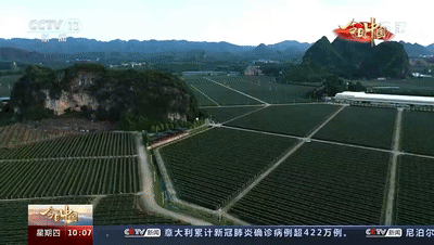 广西“霸屏”央视,南宁惊艳亮相!每一帧都值得骄傲