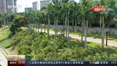 广西“霸屏”央视,南宁惊艳亮相!每一帧都值得骄傲