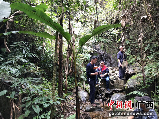 巴马学党史强担当 办实事惠民生