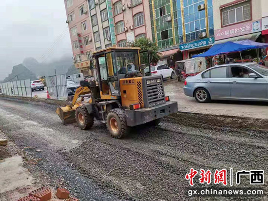 巴马学党史强担当 办实事惠民生