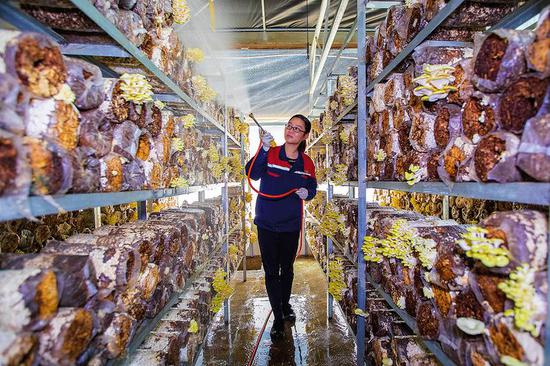 南宁：​在新的起点上谱写乡村振兴新篇章