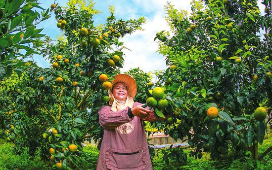 南宁：​在新的起点上谱写乡村振兴新篇章