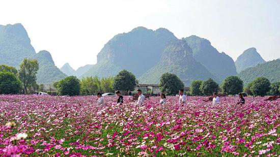 南宁：​在新的起点上谱写乡村振兴新篇章