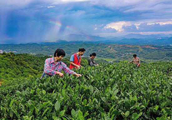 南宁：​在新的起点上谱写乡村振兴新篇章