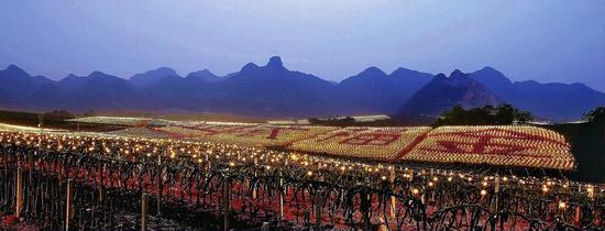 南宁：​在新的起点上谱写乡村振兴新篇章