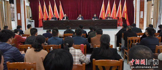 广西合浦县“四个坚持”圆满完成乡镇党委换届