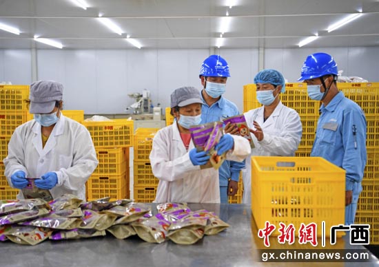 广西恭城：电力与瑶乡同美（图）